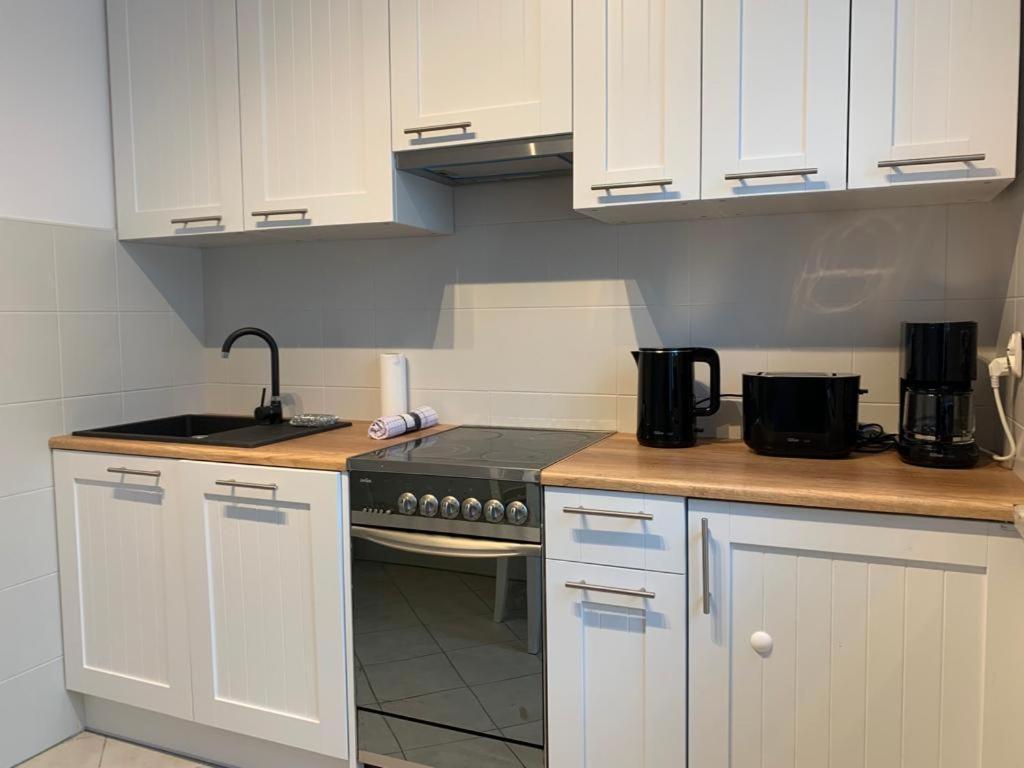 Apartament Zieleniec Торунь Екстер'єр фото